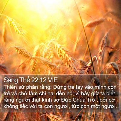 Sáng Thế 22:12 VIE Bible Verse Image