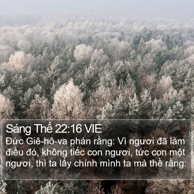 Sáng Thế 22:16 VIE Bible Verse Image