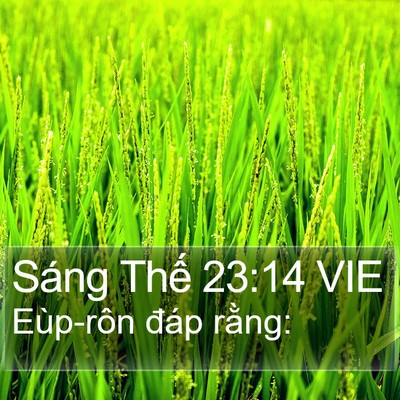 Sáng Thế 23:14 VIE Bible Verse Image