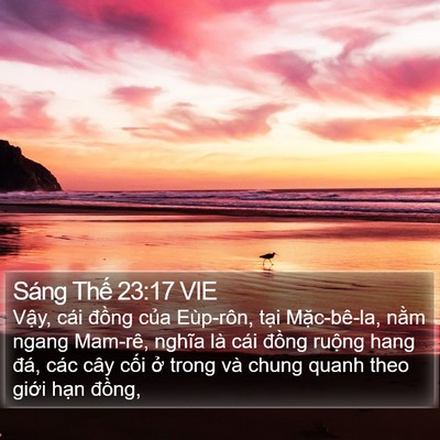 Sáng Thế 23:17 VIE Bible Verse Image