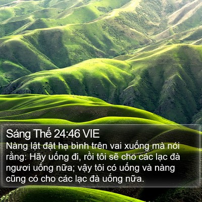 Sáng Thế 24:46 VIE Bible Verse Image