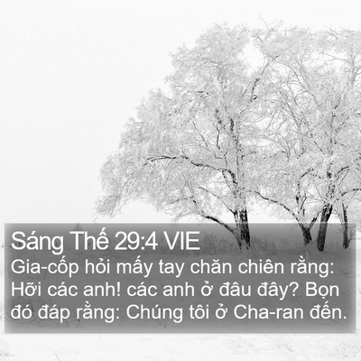 Sáng Thế 29:4 VIE Bible Verse Image