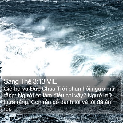 Sáng Thế 3:13 VIE Bible Verse Image
