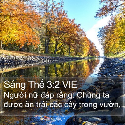 Sáng Thế 3:2 VIE Bible Verse Image