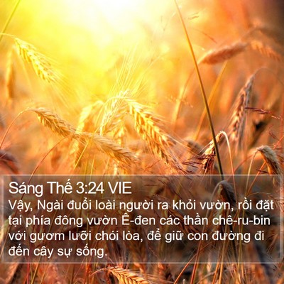 Sáng Thế 3:24 VIE Bible Verse Image