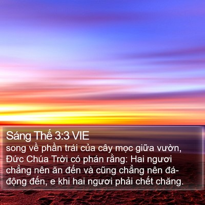 Sáng Thế 3:3 VIE Bible Verse Image