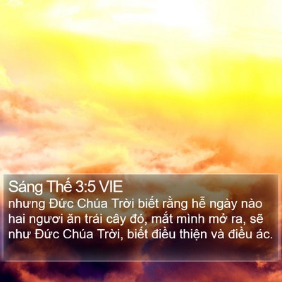 Sáng Thế 3:5 VIE Bible Verse Image