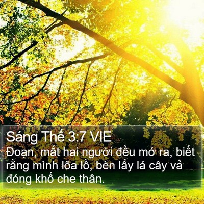 Sáng Thế 3:7 VIE Bible Verse Image