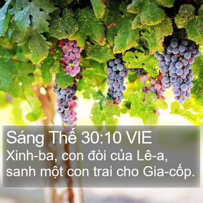 Sáng Thế 30:10 VIE Bible Verse Image