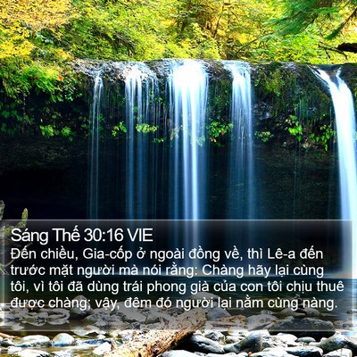 Sáng Thế 30:16 VIE Bible Verse Image