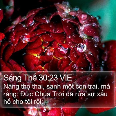 Sáng Thế 30:23 VIE Bible Verse Image