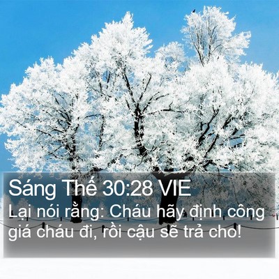 Sáng Thế 30:28 VIE Bible Verse Image