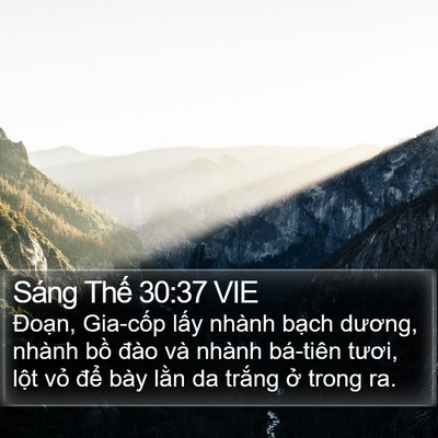 Sáng Thế 30:37 VIE Bible Verse Image