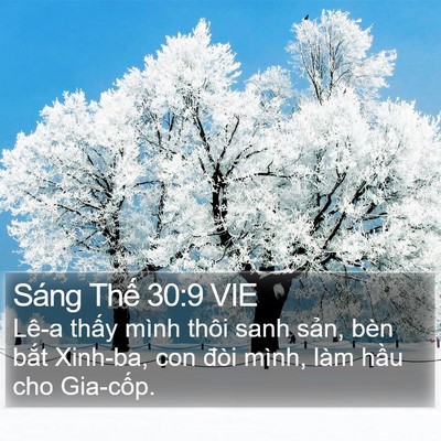Sáng Thế 30:9 VIE Bible Verse Image