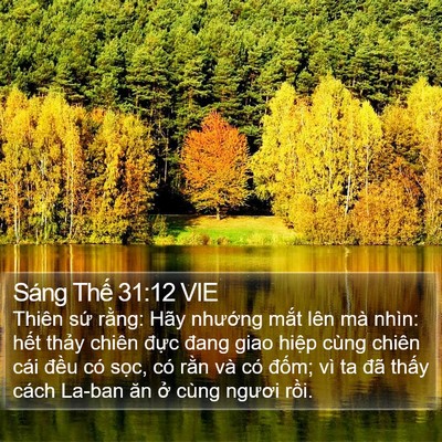 Sáng Thế 31:12 VIE Bible Verse Image