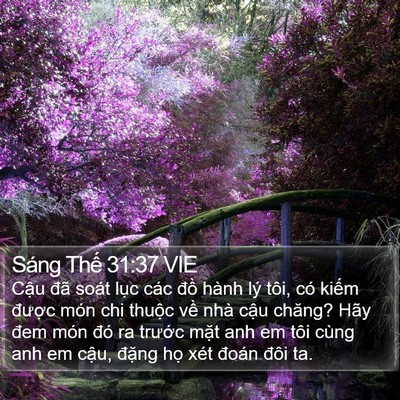 Sáng Thế 31:37 VIE Bible Verse Image