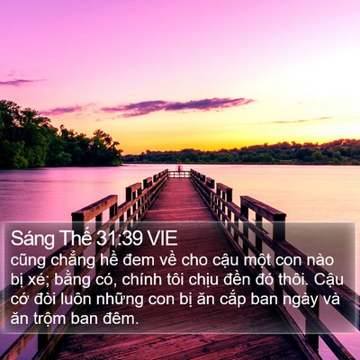 Sáng Thế 31:39 VIE Bible Verse Image