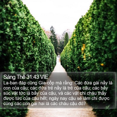 Sáng Thế 31:43 VIE Bible Verse Image