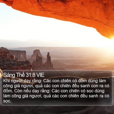 Sáng Thế 31:8 VIE Bible Verse Image