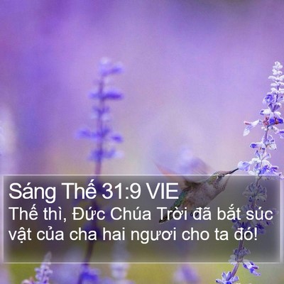 Sáng Thế 31:9 VIE Bible Verse Image