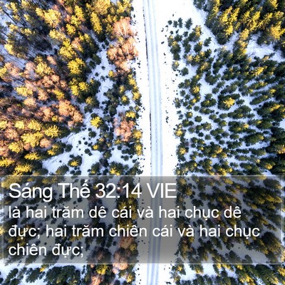 Sáng Thế 32:14 VIE Bible Verse Image