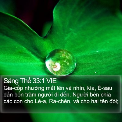 Sáng Thế 33:1 VIE Bible Verse Image
