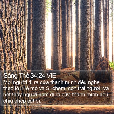 Sáng Thế 34:24 VIE Bible Verse Image