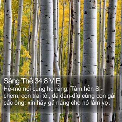 Sáng Thế 34:8 VIE Bible Verse Image
