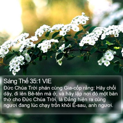 Sáng Thế 35:1 VIE Bible Verse Image