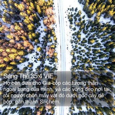 Sáng Thế 35:4 VIE Bible Verse Image