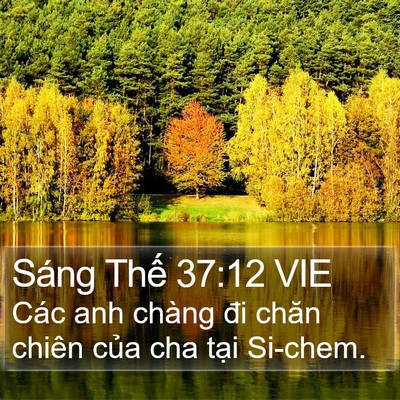 Sáng Thế 37:12 VIE Bible Verse Image