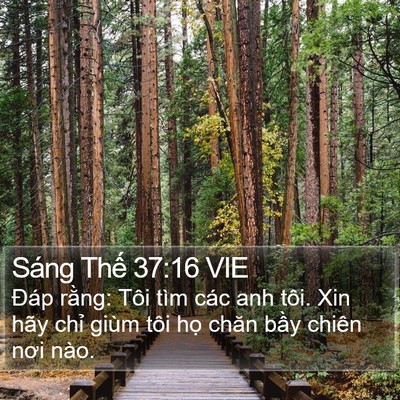 Sáng Thế 37:16 VIE Bible Verse Image