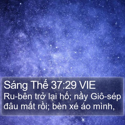 Sáng Thế 37:29 VIE Bible Verse Image