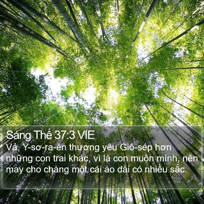 Sáng Thế 37:3 VIE Bible Verse Image