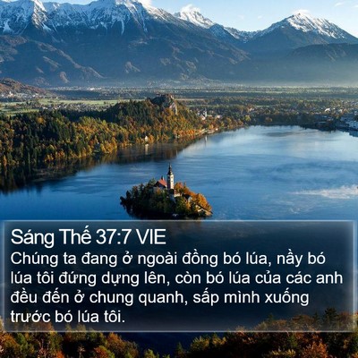 Sáng Thế 37:7 VIE Bible Verse Image