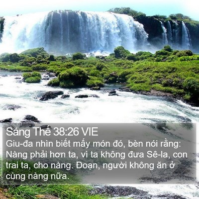 Sáng Thế 38:26 VIE Bible Verse Image