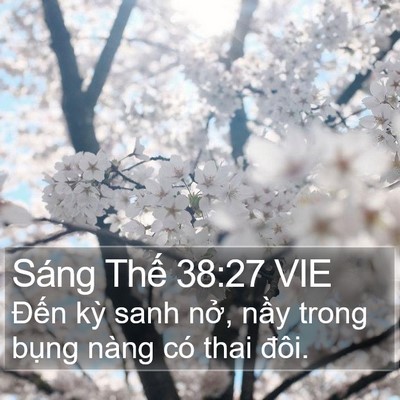 Sáng Thế 38:27 VIE Bible Verse Image
