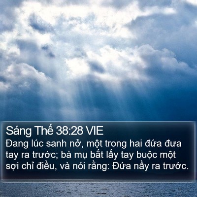 Sáng Thế 38:28 VIE Bible Verse Image