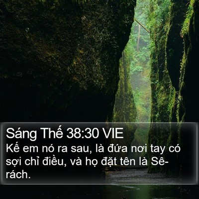 Sáng Thế 38:30 VIE Bible Verse Image