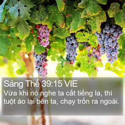 Sáng Thế 39:15 VIE Bible Verse Image