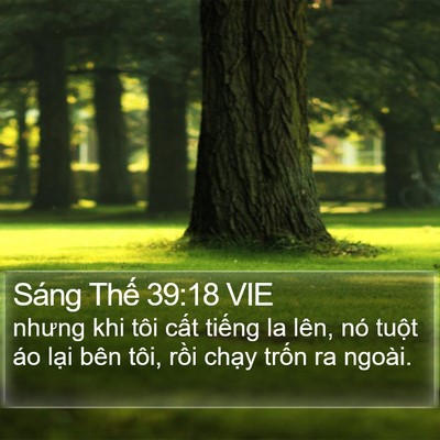 Sáng Thế 39:18 VIE Bible Verse Image
