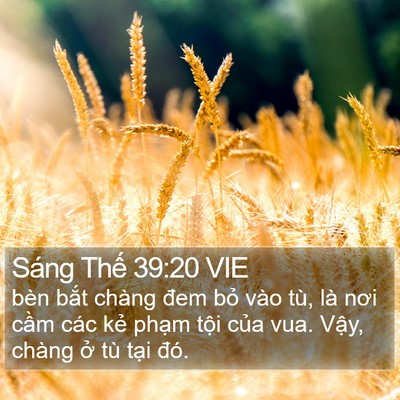 Sáng Thế 39:20 VIE Bible Verse Image
