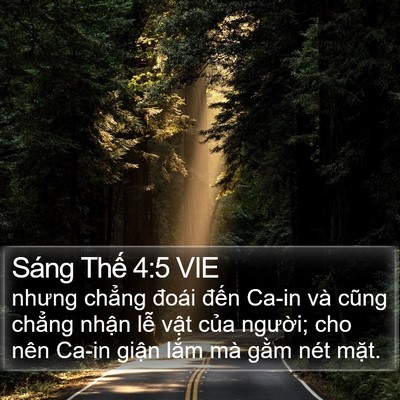 Sáng Thế 4:5 VIE Bible Verse Image