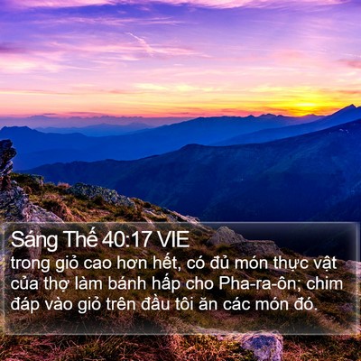 Sáng Thế 40:17 VIE Bible Verse Image