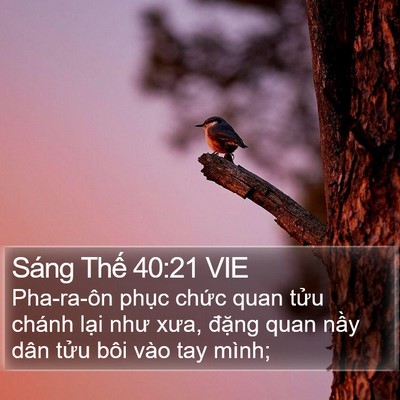 Sáng Thế 40:21 VIE Bible Verse Image