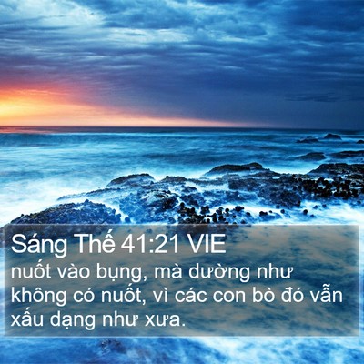 Sáng Thế 41:21 VIE Bible Verse Image