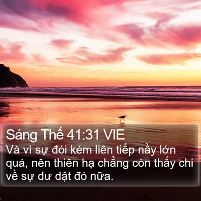 Sáng Thế 41:31 VIE Bible Verse Image