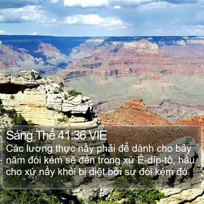 Sáng Thế 41:36 VIE Bible Verse Image