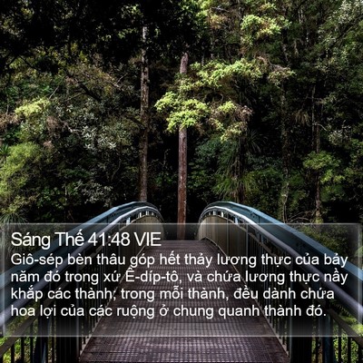 Sáng Thế 41:48 VIE Bible Verse Image