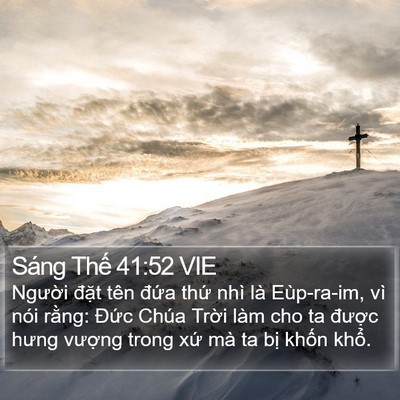 Sáng Thế 41:52 VIE Bible Verse Image